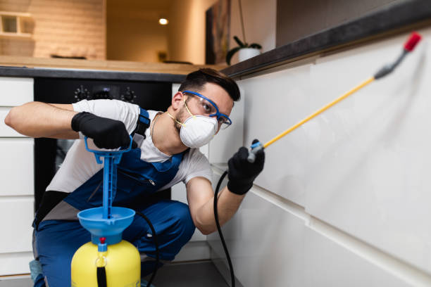 Reliable Dakota City, NE Pest Control Solutions