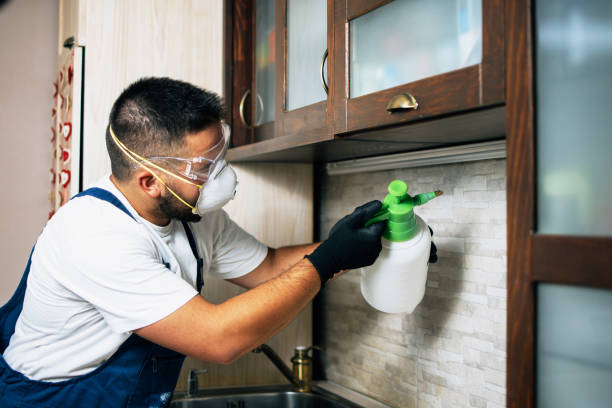 Best Pest Prevention Services  in Dakota City, NE