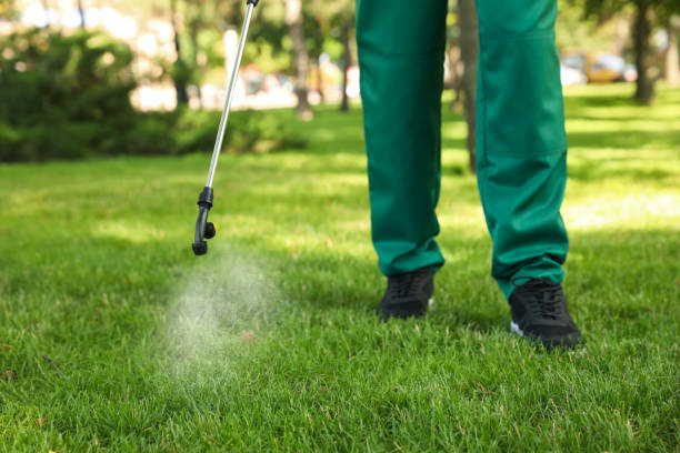 Best Best Pest Control Companies  in Dakota City, NE