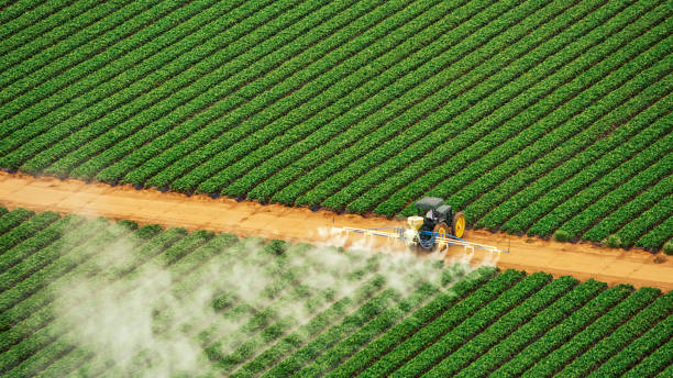 Best Pest Control for Homes  in Dakota City, NE